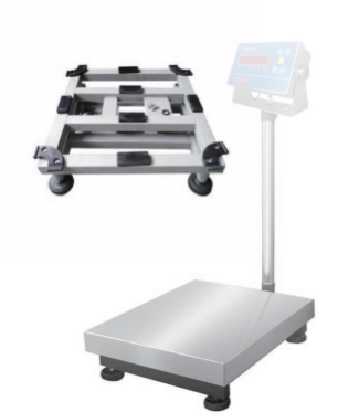 BS Series Bench Scale