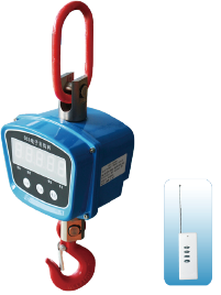 YD Series Floor Scale