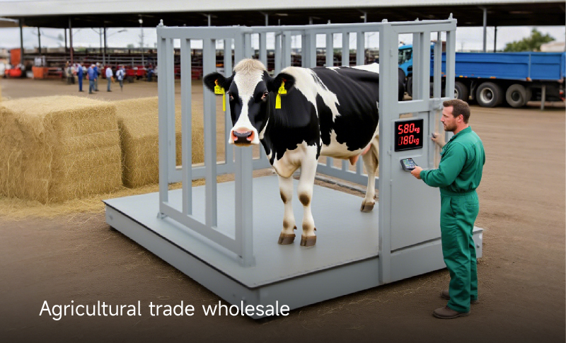 Storage logistics and truck loading