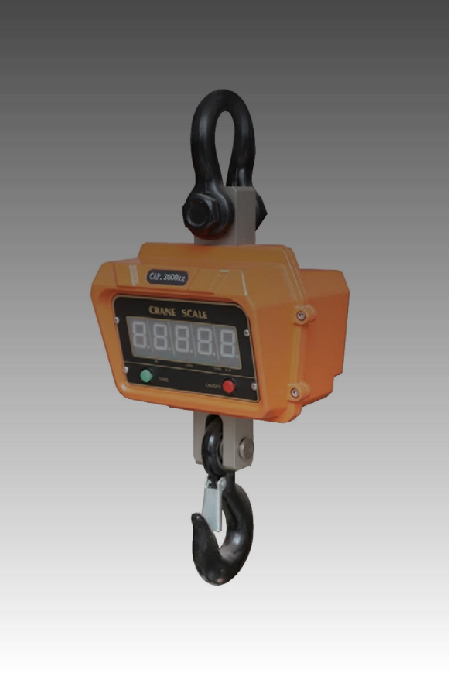 Crane Scale