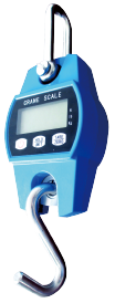Y(S) Series Floor Scale