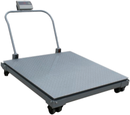 PH Floor Scale – Stainless Steel Platform Scale