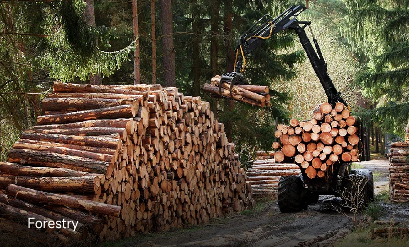 Industry Application 9